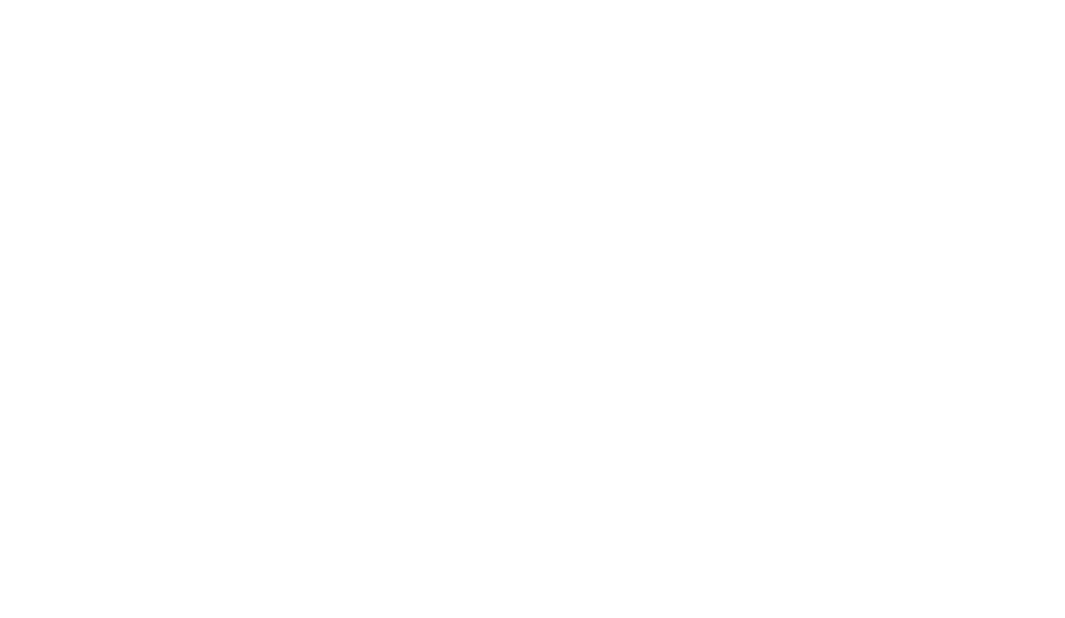 BNP Paribas Securities Services